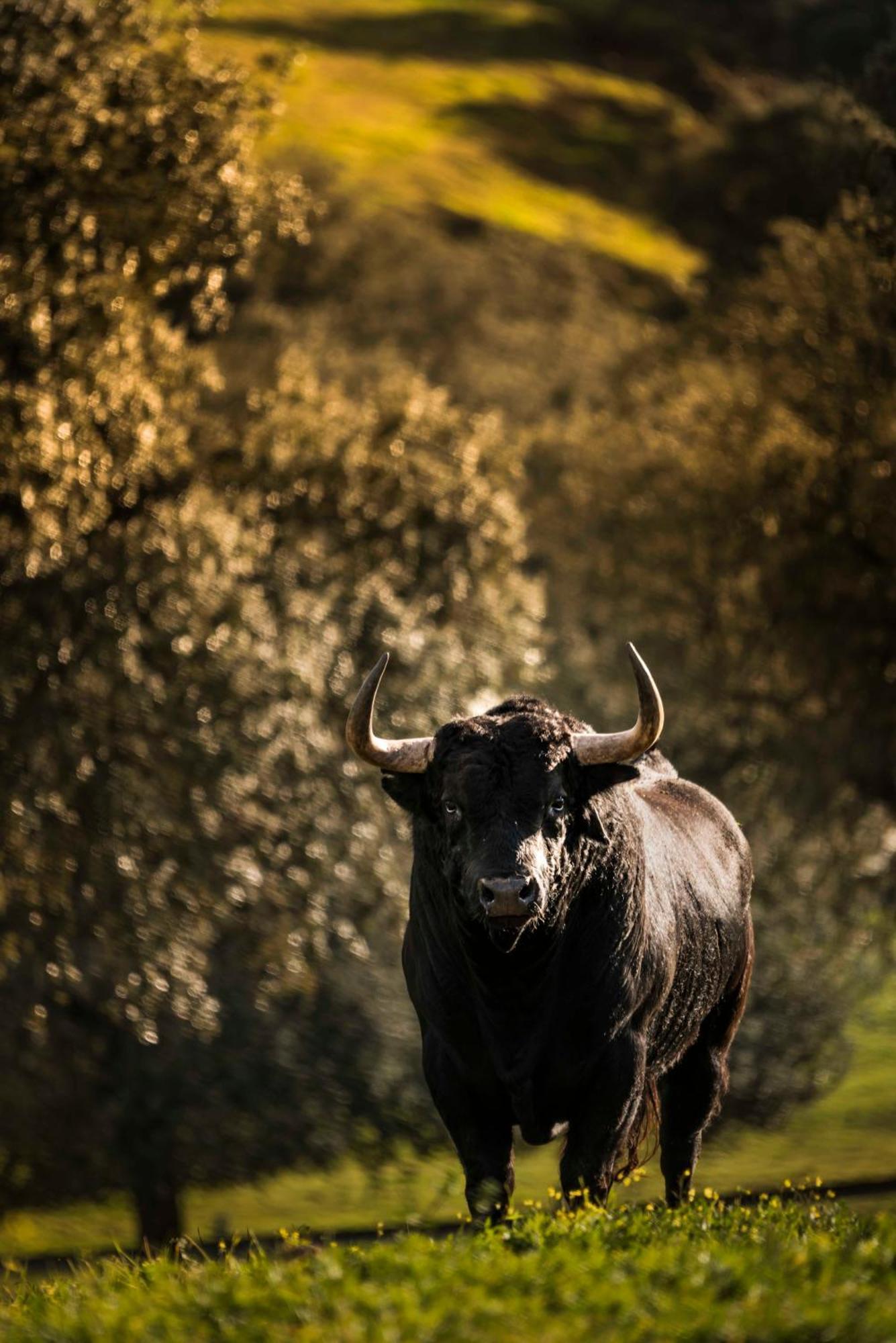 Finca El Cotillo ลีนาเรส ภายนอก รูปภาพ